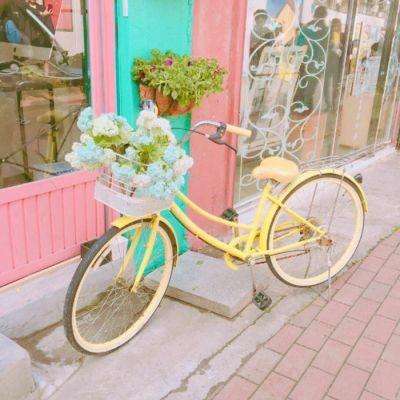 2023年新澳门今晚开特马