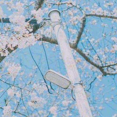 beat365中国在线体育手机app下载截图